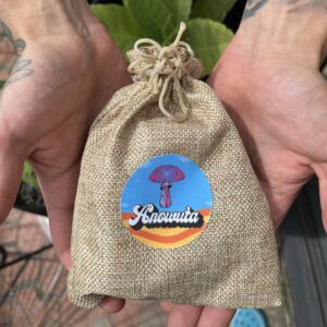 Kit de Sanación